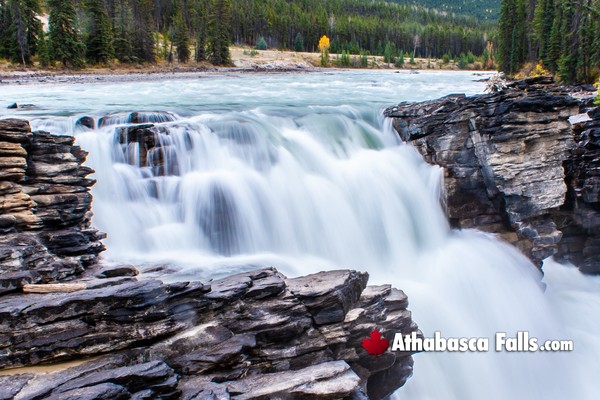 Athabasca Falls in Jasper National Park in November