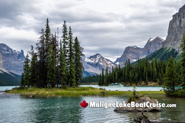 Jasper Maligne Lake Boat Cruise During November